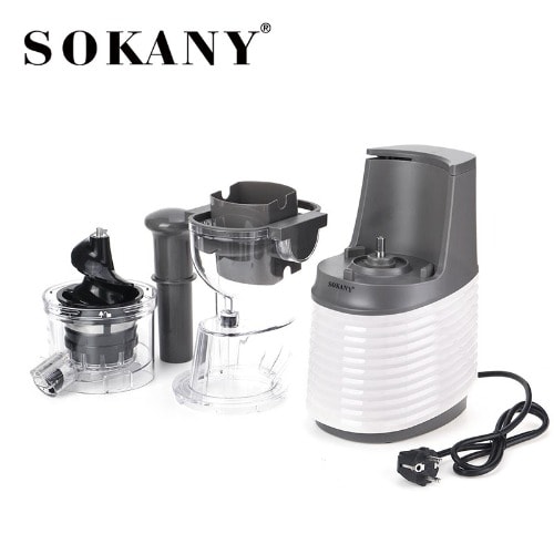 300W Whole Slow Juicer