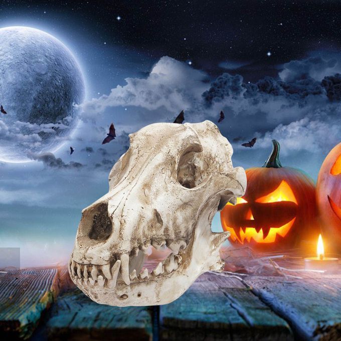 Art Skull Sculpture Ornament Statue Turtle Toy Landscape Halloween