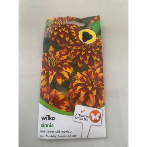 Zinnia Haageana Old Mexico Seeds -125seeds