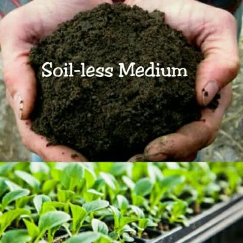 Soil Less Multipurpose Potting Soil - 20 Litres