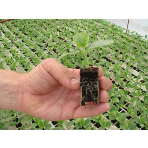 Soil Less Multipurpose Potting Soil - 20 Litres