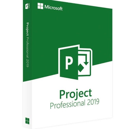 Project Professional 2019