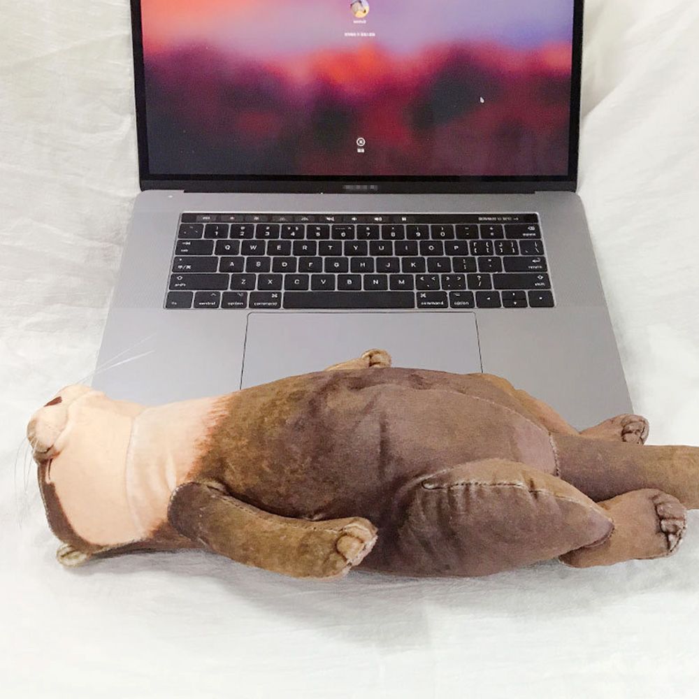 2 In1 40cm Cute Otter Stuffed Down Cotton Pencil Case