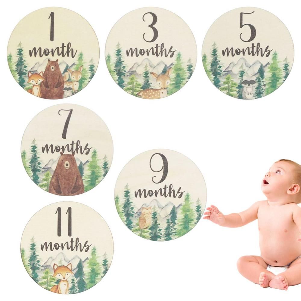 Baby Milestone Cards Baby Monthly Milestone Cards Sign Boy