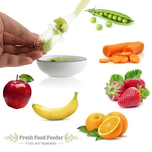 Fruit Feeding Pacifier  Baby Teether  (3 Nipple Sizes)