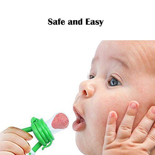 Fruit Feeding Pacifier  Baby Teether  (3 Nipple Sizes)