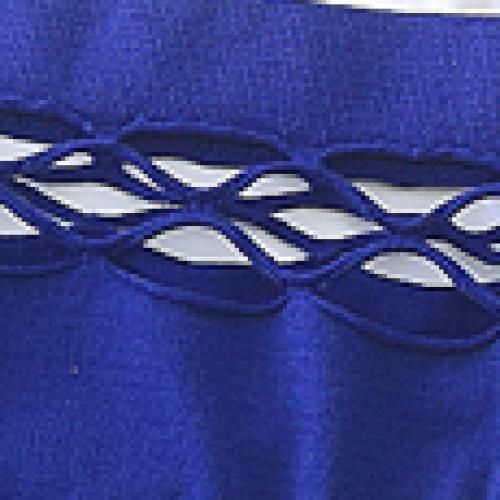High Waist Women Mesh Hollow Out Thongs Panties Sexy G-String Plus Size Blue
