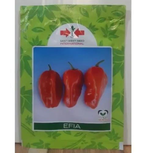 Carribean Red Habanero Pepper Seeds -10 Grams