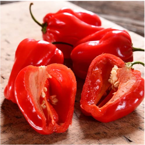 Carribean Red Habanero Pepper Seeds -10 Grams