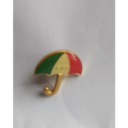 PDP Logo Shape Lapel Pin