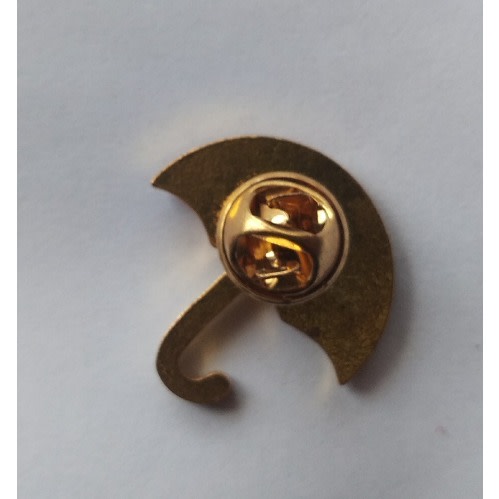 PDP Logo Shape Lapel Pin