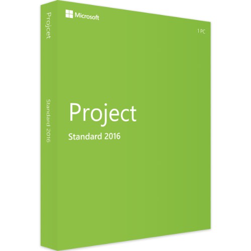 Project 2016 Standard