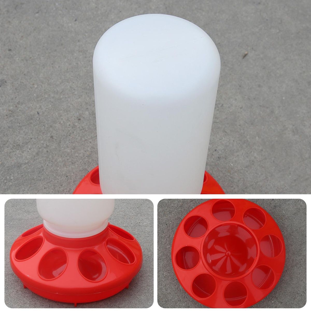 Low Maintenance Chicken Feeder Feather-friendly Poultry Feeders 2 Pack Red