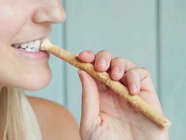 10 Pack Fresh Traditional Natural Toothbrush Misvak Miswak