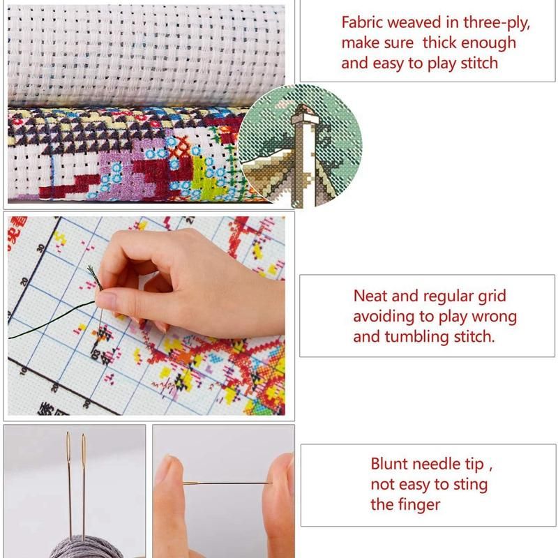 Kits Stamped for Embroidery Kits for Beginners