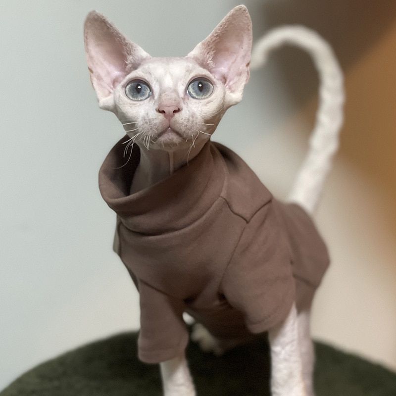 Sphynx Cat Clothes Cotton Vest Winter Thickening Warm Hairless Cat-Grey Base Shirt