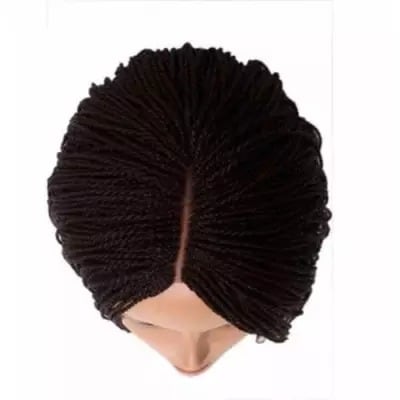 Feathers Braided Wig