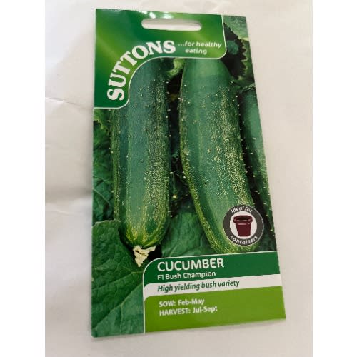 Cucumber F1-bush Champion-8 Seeds