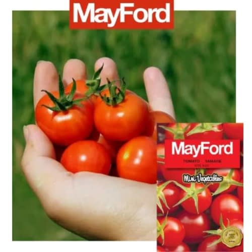MayFord - Cherry Tomato Seed- Bite Size - 2g