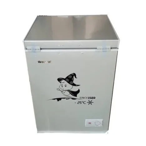 Anti Rust Fast Freezing Chest Freezer Bd-158 - 158L