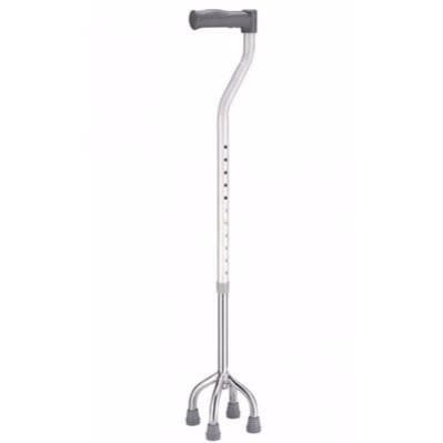 Walking Stick