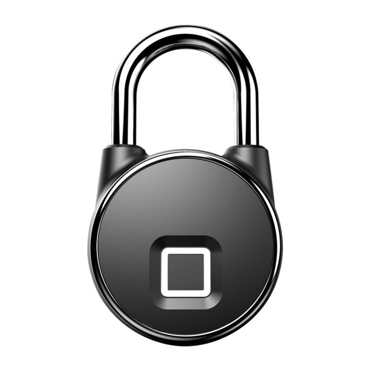 P22 Fingerprint Security Door Padlock