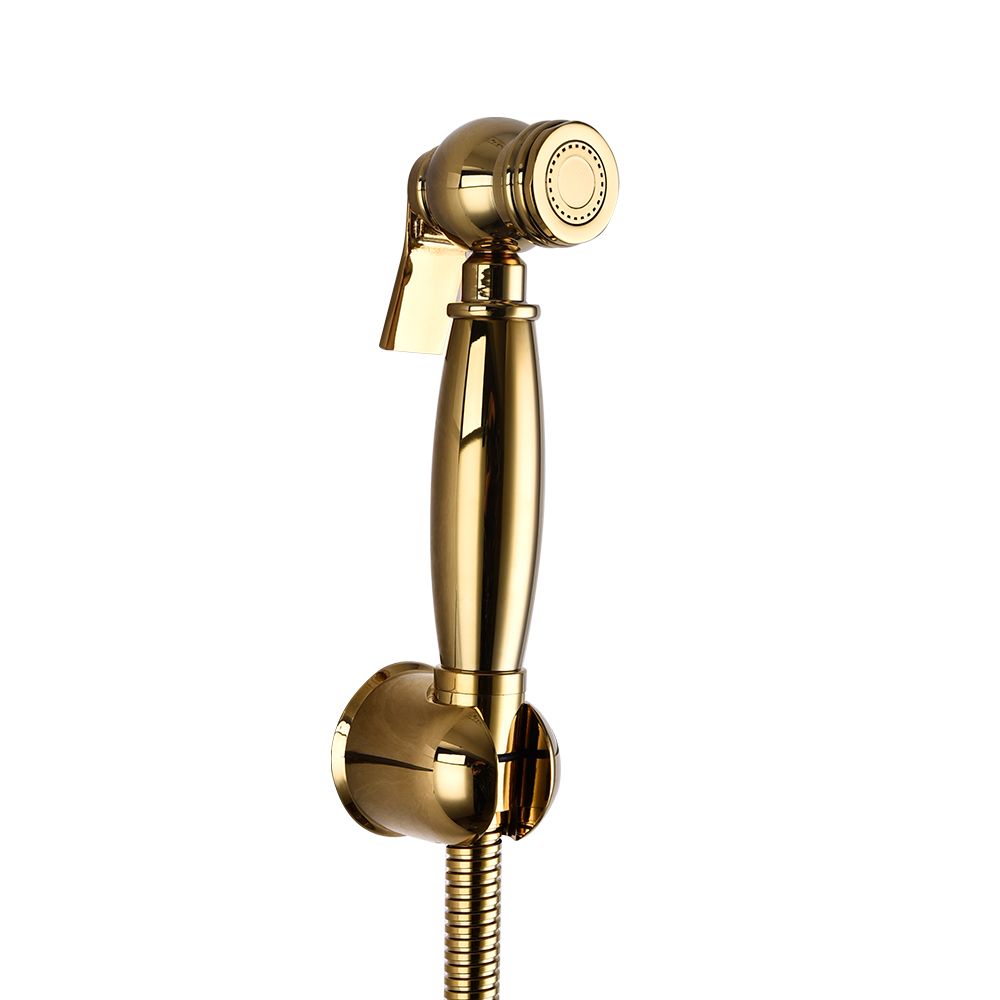 Handheld Bathroom Toilet Bidet Faucet