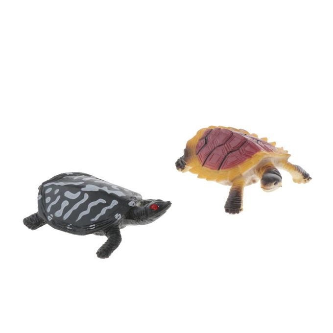 Assorted Realistic Animal Figures - Insect Action Model  Tortoise 8pcs