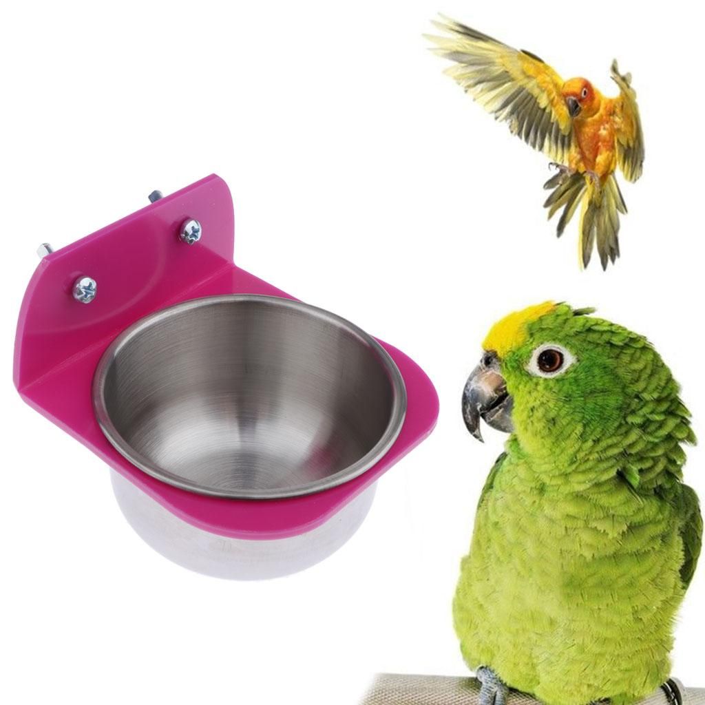 2x Bird Bowl With Clamp For Cockatiel Budgies Macaws Finch
