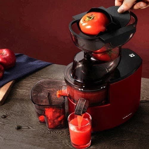 Whole Slow Juicer - 300W