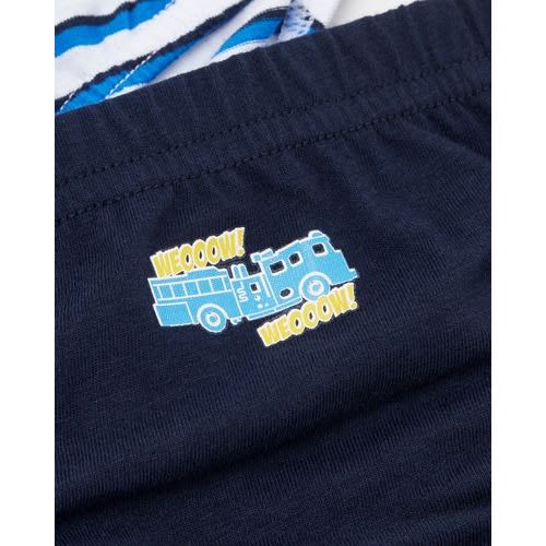 Boys 7 Pack Briefs