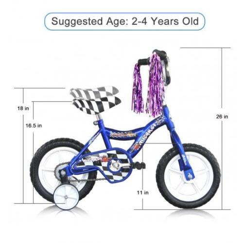 12'' Unisex Bike - Blue