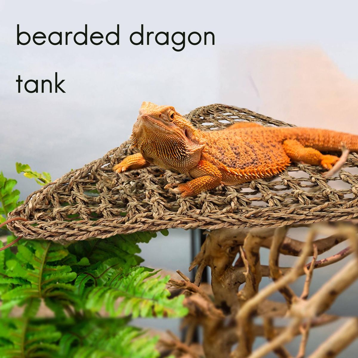 Bearded Dragon Hammock Lizard Lounger,100% Natural Seagrass
