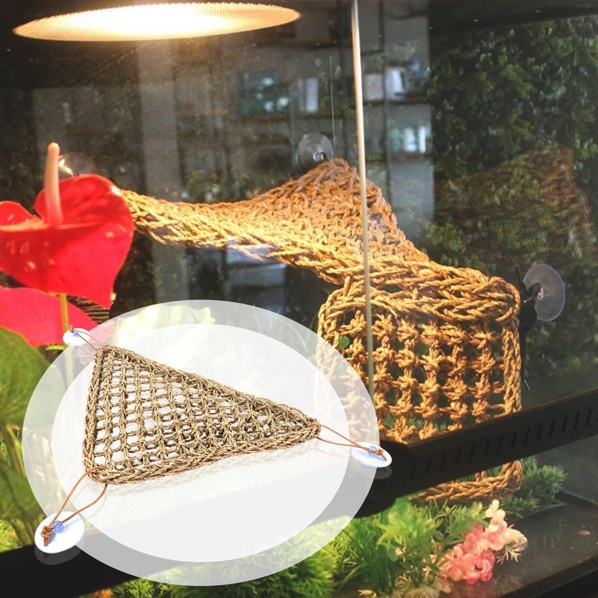 Bearded Dragon Hammock Lizard Lounger,100% Natural Seagrass