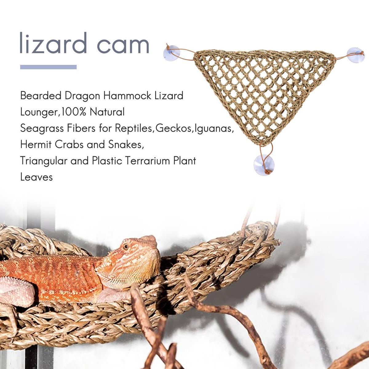 Bearded Dragon Hammock Lizard Lounger,100% Natural Seagrass