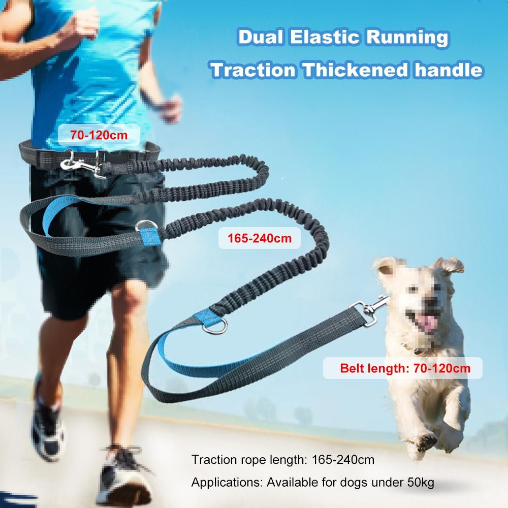 Pet Leash Outdoor Running Reflective Double Retractable Dog Leash Dog Chain Leash Pet Supplies