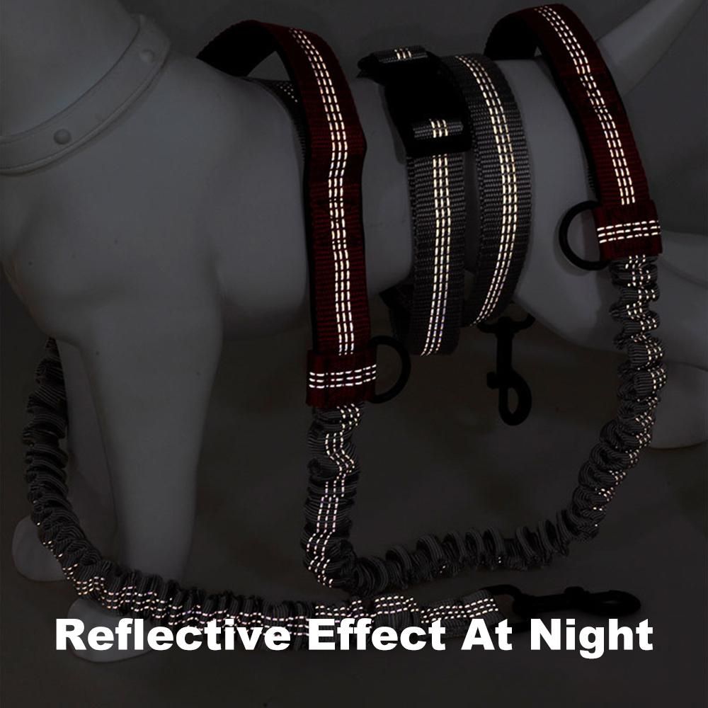 Pet Leash Outdoor Running Reflective Double Retractable Dog Leash Dog Chain Leash Pet Supplies