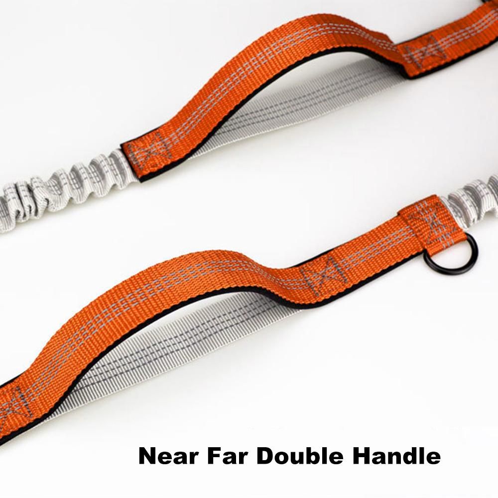 Pet Leash Outdoor Running Reflective Double Retractable Dog Leash Dog Chain Leash Pet Supplies