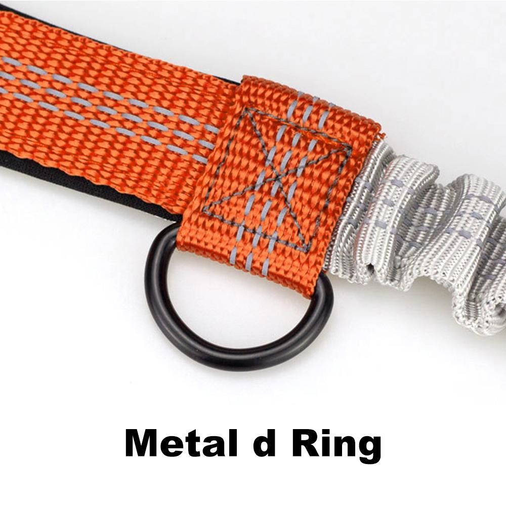 Pet Leash Outdoor Running Reflective Double Retractable Dog Leash Dog Chain Leash Pet Supplies