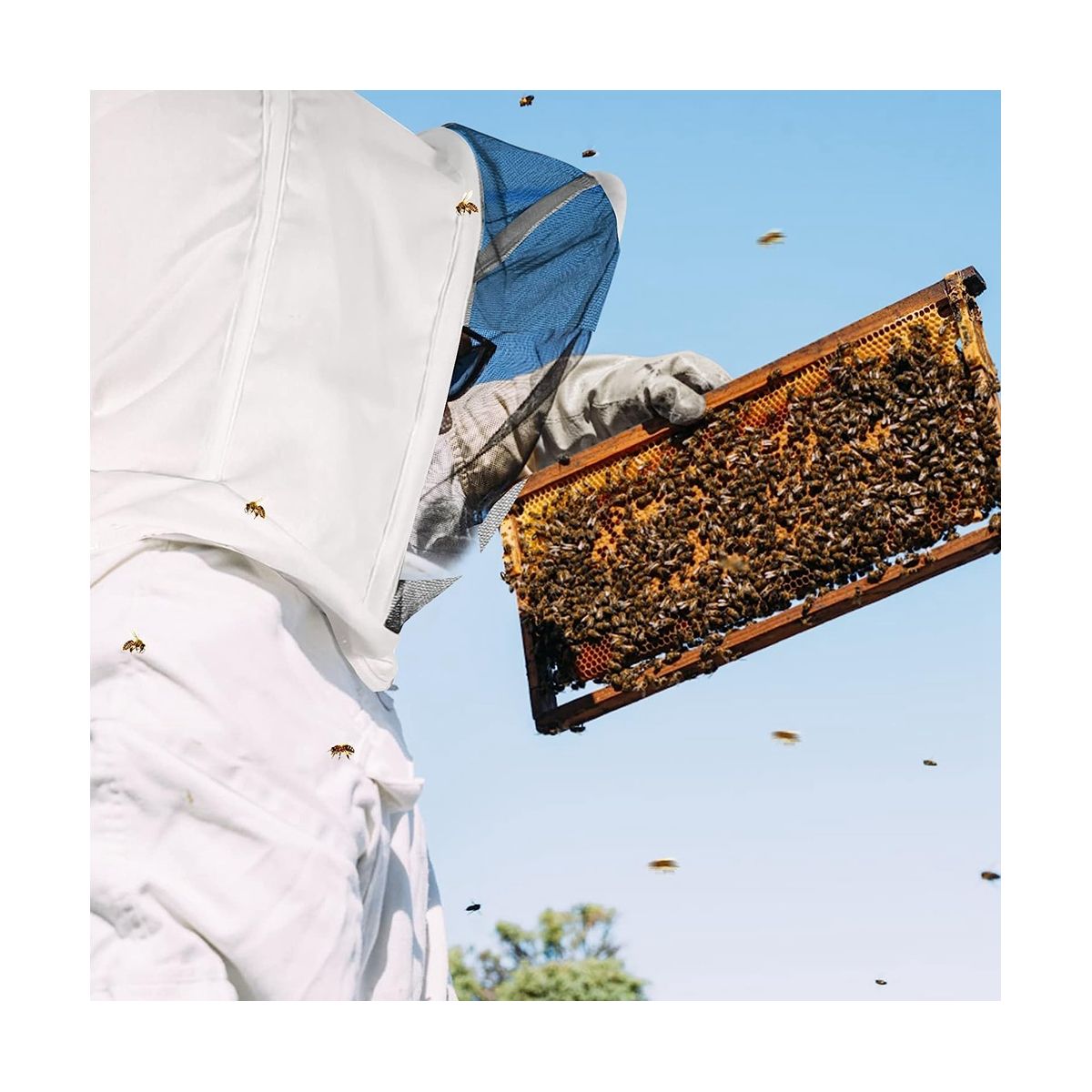 Bee Suit for Men Women,Bee Keeper with Beekeeping