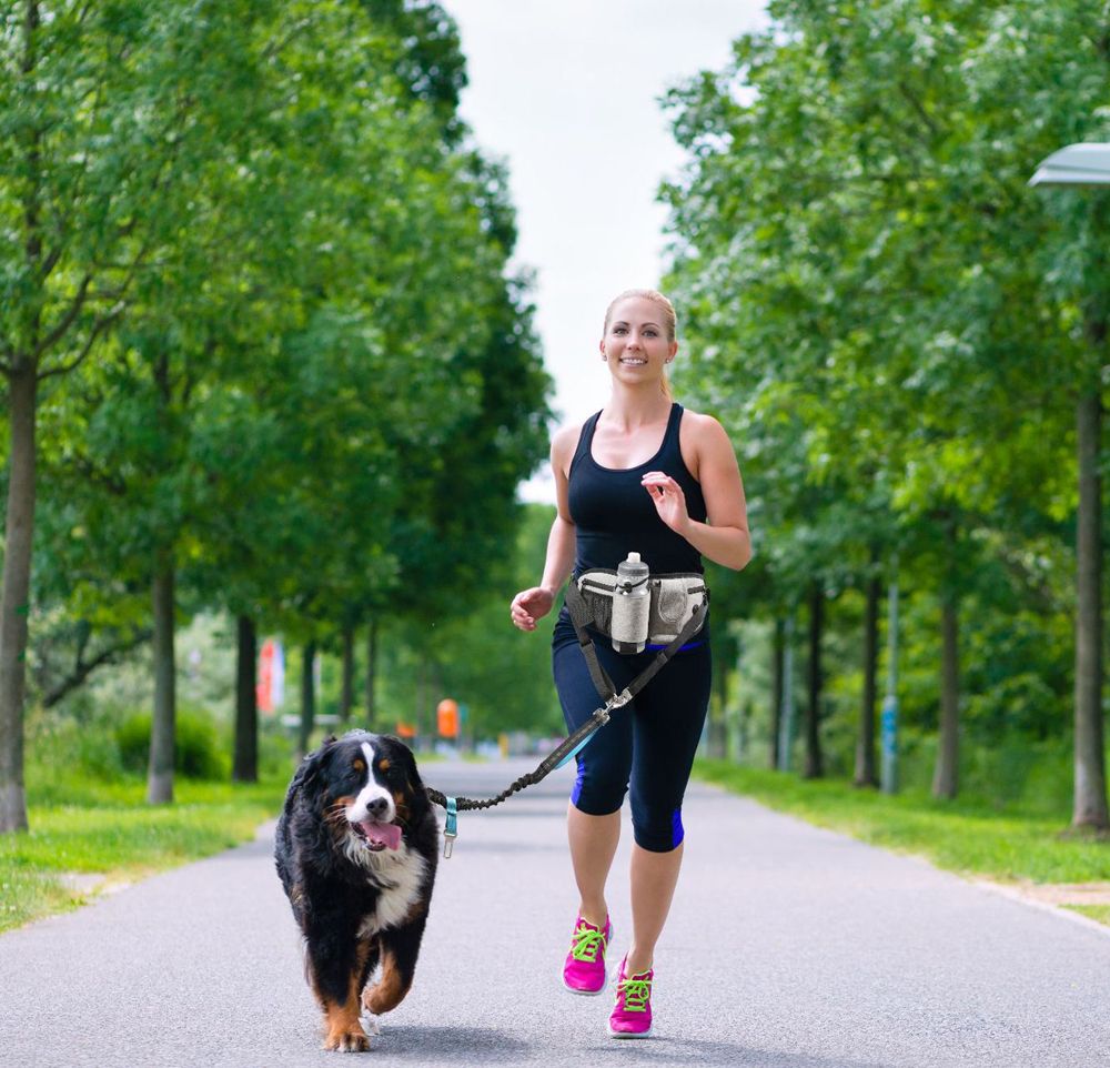 Hands Free Dog Bungee Leash With Waist Pack Belt For Running Walking-Gray