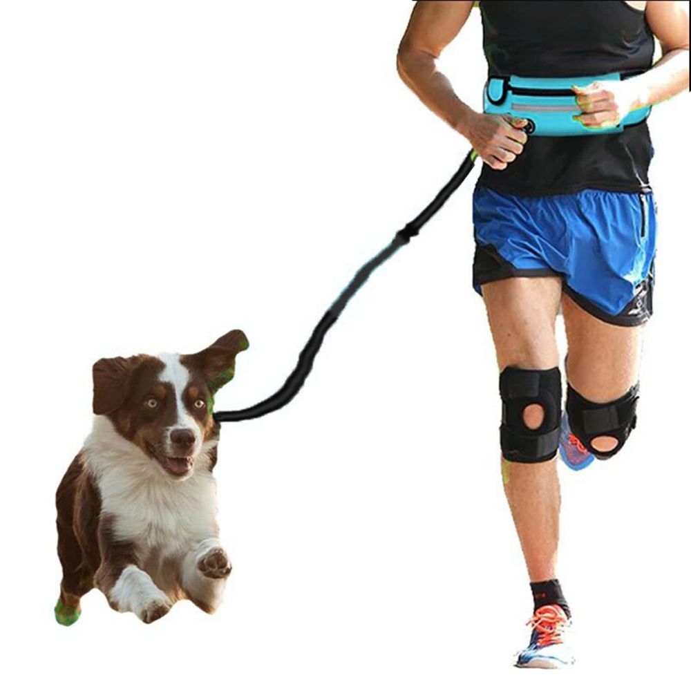 Hands Free Dog Leash With Waist Pack Belt For Walkin-Blue