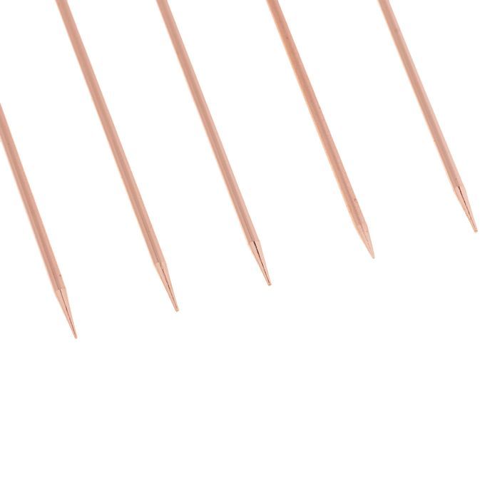 5pcs Stainless Steel Cocktail Fruit Sticks Bar Circle-Rose Gold