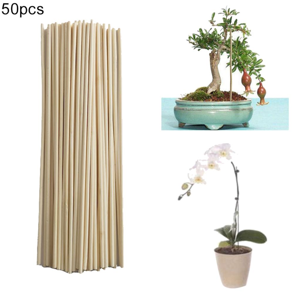 50Pcs Bamboo Plant Grow Support Sticks Garden Potted Flower Canes Rod Tools