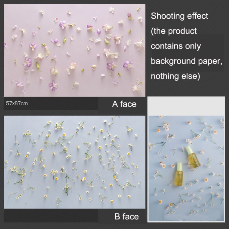 3D Double-sided Photography Background