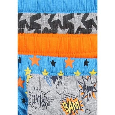Boys 5pk Printed Briefs