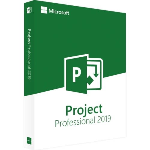 Professional Project 2019