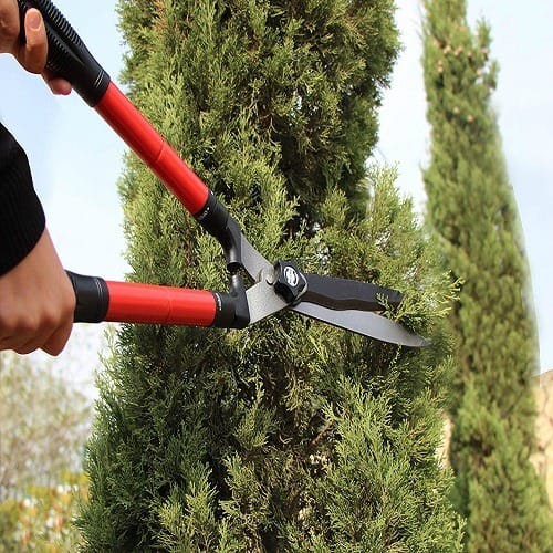 Gardening Shears