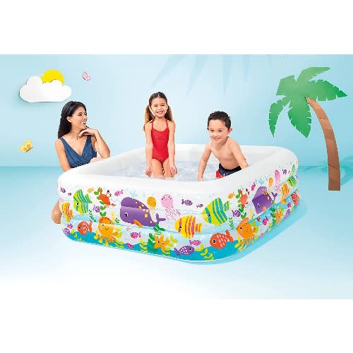 Swim Center Clear View Aquarium Pool Intex-  Multi Color