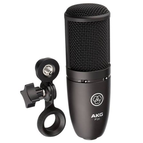 P120 General Purpose Recording Microphone
